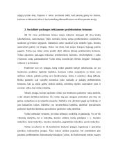 Probleminių šeimų plitimo priežastys 8 puslapis