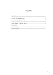 Proceso valdymo įtaka kaštams 3 puslapis
