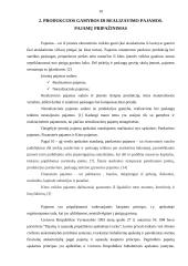 Produkcijos gamybos ir realizavimo išlaidos (sąnaudos), pajamos (įplaukos), pelnas (pajamos), jų apskaičiavimas ir paskirstymas 10 puslapis