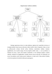 Produkto darymo procesas: organizacija "Vaikų darželis" 2 puslapis