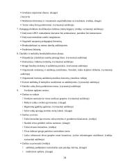 Produkto darymo procesas: organizacija "Vaikų darželis" 12 puslapis