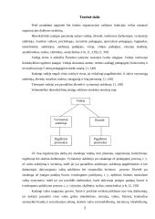 Produkto darymo procesas: organizacija "Vaikų darželis" 3 puslapis