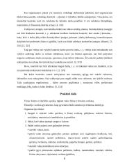 Produkto darymo procesas: organizacija "Vaikų darželis" 6 puslapis