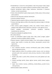 Produkto darymo procesas: organizacija "Vaikų darželis" 8 puslapis
