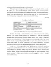Prognozavimas ir strateginis valdymas 13 puslapis