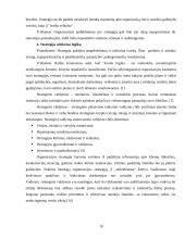 Prognozavimas ir strateginis valdymas 19 puslapis