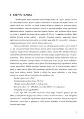 Projekto aiškinamasis raštas: 3-4 asmenų šeimos gyvenamasis namas 3 puslapis