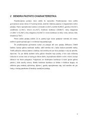 Projekto aiškinamasis raštas: 3-4 asmenų šeimos gyvenamasis namas 4 puslapis