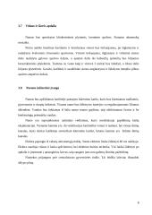 Projekto aiškinamasis raštas: 3-4 asmenų šeimos gyvenamasis namas 8 puslapis