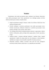 Projekto aiškinamasis raštas: 3-4 asmenų šeimos gyvenamasis namas 10 puslapis