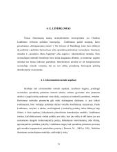 Racionalaus sprendimų priėmimo procesas 13 puslapis