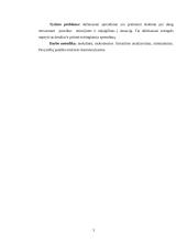 Racionalaus sprendimų priėmimo procesas 3 puslapis