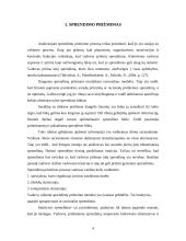 Racionalaus sprendimų priėmimo procesas 4 puslapis