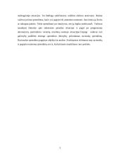 Racionalaus sprendimų priėmimo procesas 5 puslapis