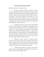 Racionalaus sprendimų priėmimo procesas 6 puslapis