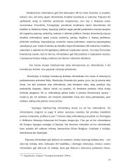 Referendumo samprata ir rūšys 13 puslapis