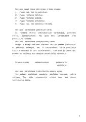 Reklamos ypatumai ir objektas 8 puslapis
