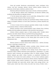 Reklama ir rinkodara 6 puslapis