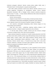Reklama internete: Lietuvos pavyzdžio analizė 12 puslapis