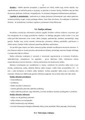 Reklamos organizavimo būdai 11 puslapis