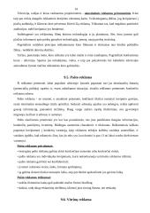 Reklamos organizavimo būdai 13 puslapis