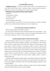 Reklamos organizavimo būdai 17 puslapis