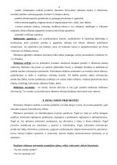 Reklamos organizavimo būdai 7 puslapis