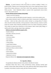 Reklamos organizavimo būdai 9 puslapis