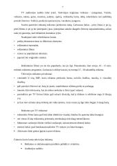 Reklamos poveikis skalbimo miltelių pasirinkimui 5 puslapis