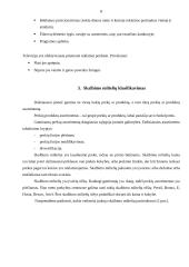 Reklamos poveikis skalbimo miltelių pasirinkimui 6 puslapis