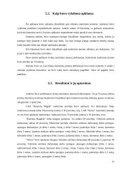 Reklamos priemonės taikomos UAB "Omira" ir UAB "Raseinių Magdė" maitinimo įmonėse 13 puslapis