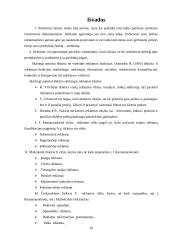 Reklamos priemonių efektyvumo įvertinimas organizacijoje 20 puslapis