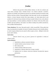 Reklamos priemonių efektyvumo įvertinimas organizacijoje 3 puslapis