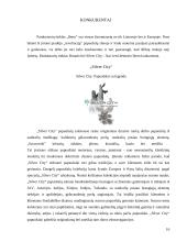 Reklamos projektas: bižuterija "Ibero" 16 puslapis