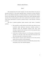 Reklamos projektas: bižuterija "Ibero" 4 puslapis