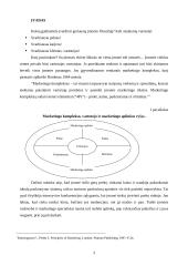 Rėmimas komunikaciniame marketingo komplekse 2 puslapis