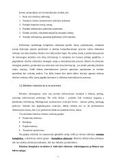 Rėmimas komunikaciniame marketingo komplekse 6 puslapis