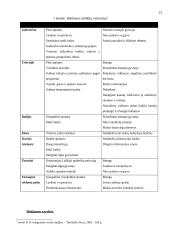 Rėmimo kompleksas ir jo strateginiai tikslai 13 puslapis