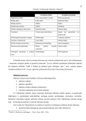 Rėmimo kompleksas ir jo strateginiai tikslai 17 puslapis