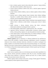 Rėmimo kompleksas ir jo strateginiai tikslai 18 puslapis