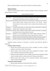 Rėmimo kompleksas ir jo strateginiai tikslai 20 puslapis