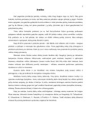 Rėmimo kompleksas ir jo strateginiai tikslai 3 puslapis