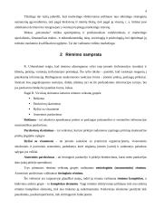 Rėmimo kompleksas ir jo strateginiai tikslai 5 puslapis