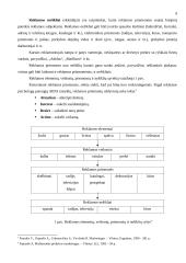 Rėmimo kompleksas ir jo strateginiai tikslai 10 puslapis