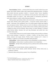 Rinkimų sistemos ir jų politinės pasekmės Lietuvoje 3 puslapis