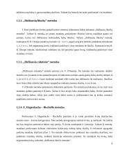 Rinkimų sistemos ir jų politinės pasekmės Lietuvoje 8 puslapis