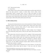 Rinkimų sistemos ir jų politinės pasekmės Lietuvoje 10 puslapis