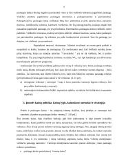 Rinkodaros analizė: viešbutis "Vaivorykštė" 8 puslapis