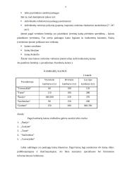 Rinkodaros analizė: viešbutis "Vaivorykštė" 9 puslapis