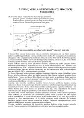 Rinkos reguliavimo ekonomika 14 puslapis